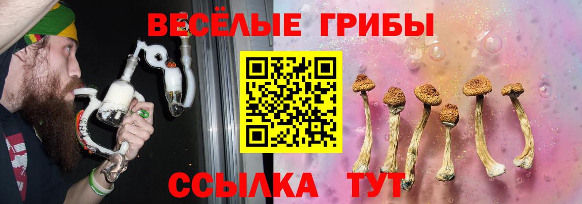 Галлюциногенные грибы прущие грибы  купить   Вход с VPN  Гудермес  Галлюциногенные грибы MAGIC MUSHROOMS 