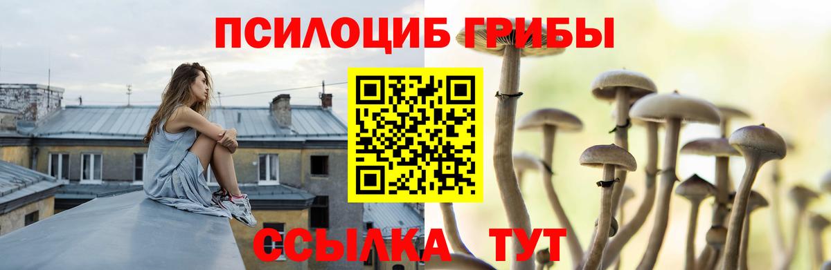 Псилоцибиновые грибы Psilocybine cubensis Гудермес